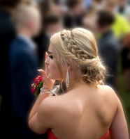 DAL_7946 copy