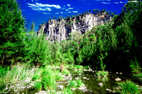 DAL_8066 copy